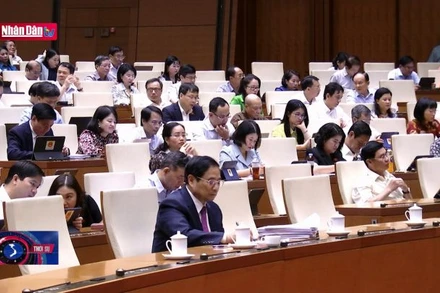 Cân nhắc việc cấp căn cước công dân cho người gốc Việt không quốc tịch