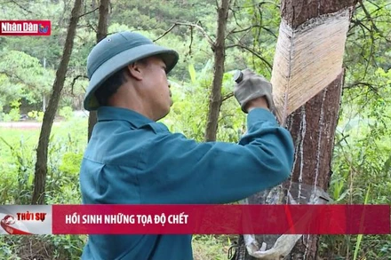 Hồi sinh những tọa độ chết