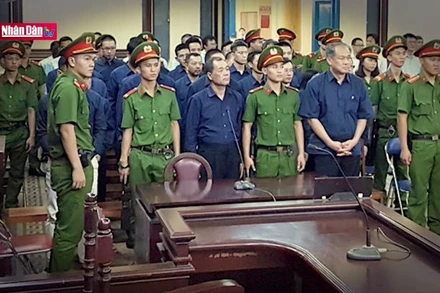 Lách luật đưa vốn ngân hàng vào công ty sân sau