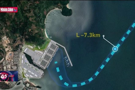 Cảng biển Liên Chiểu phấn đấu đạt 25% tiến độ trong năm 2023