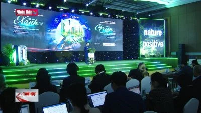 Cuộc đua xanh toàn cầu: Từ chiến lược đến thực hành