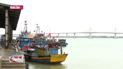 Nhiều cảng cá tại Hà Tĩnh bị bồi lắng nghiêm trọng