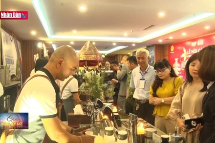 Nhiều hoạt động đặc sắc tại Lễ hội cà phê Buôn Ma Thuột lần thứ 8