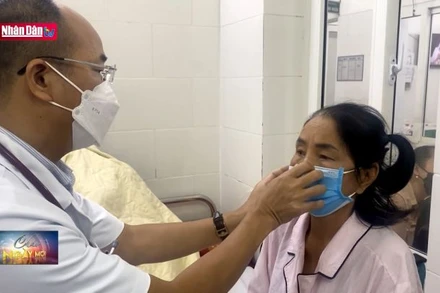 Cảnh báo ngộ độc thực phẩm có chứa độc tố tự nhiên