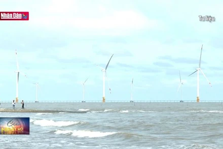 Cấp thiết xây dựng chiến lược phát triển hạ tầng điện khí, điện gió