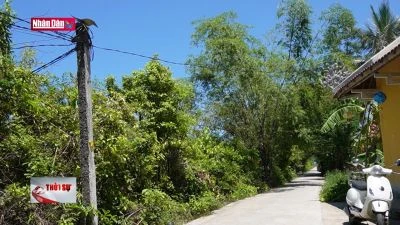 Nguy cơ mất an toàn từ lưới điện nông thôn ở Thừa Thiên Huế