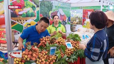 Tiêu thụ nông sản: Khai thác bền vững thị trường nội địa