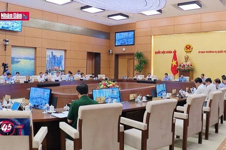 Rà soát để luật không chồng chéo