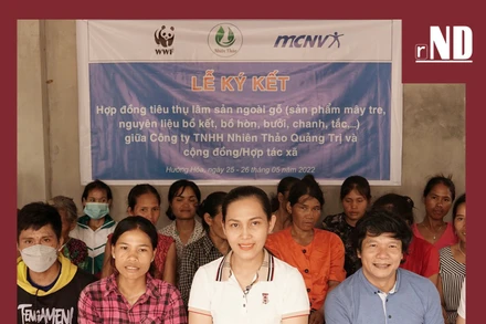 Tiêu điểm:	Dễ tổn thương nhưng đi đầu trong thích ứng