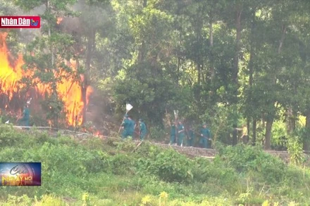 Ninh Bình chủ động phòng chống cháy rừng mùa nắng nóng