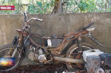 Người dân chủ động giao nộp phương tiện vận chuyển gỗ lậu