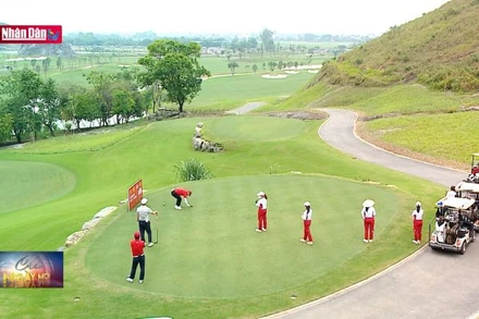 Kinh tế Hà Nam phát triển nhanh, toàn diện, bền vững