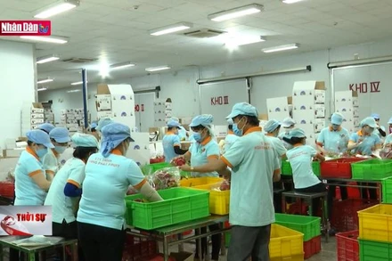 Tận dụng ưu đãi để đẩy mạnh xuất khẩu nông sản sang EU