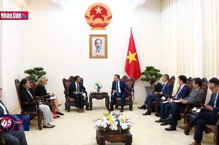 Thúc đẩy hình thành hệ sinh thái hàng tiêu dùng xuất khẩu bền vững