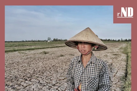 Tiêu điểm: Châu thổ Cửu Long ứng phó hạn - mặn