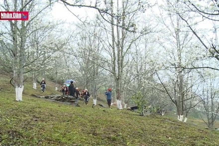 Huy động nguồn lực xã hội cho phát triển văn hóa