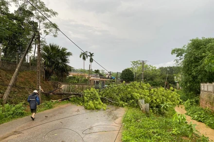 Mưa lớn kèm theo dông lốc khiến nhiều cây cối bị gãy đổ, nhiều công trình bị hư hỏng.