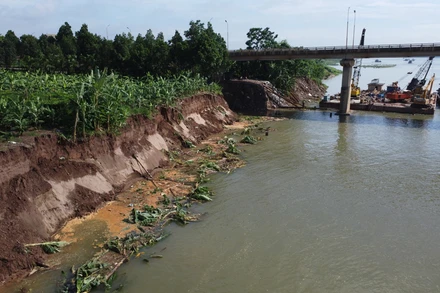Sạt lở không những cuốn trôi nhiều diện tích hoa màu của người dân mà còn uy hiếp đến chân cầu Trung Hà.