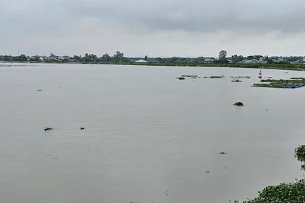 Nước trên sông Yên ở phía nam tỉnh Thanh Hóa.