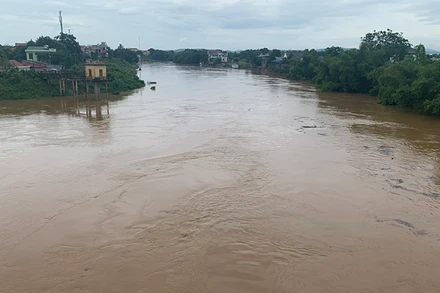 Nước trên sông Bưởi đang lên.