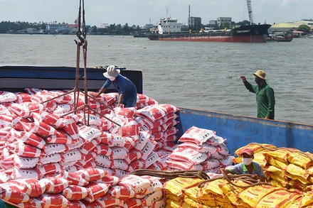 Công nhân vận chuyển gạo lên tàu ở cảng Mỹ Thới, thành phố Long Xuyên, tỉnh An Giang chuẩn bị xuất khẩu. (Ảnh BỬU ĐẤU)