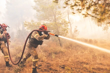 Nhân viên cứu hỏa nỗ lực khống chế đám cháy rừng ở ngoại ô Athens, Hy Lạp.