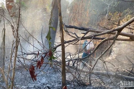 Đám cháy núi Dài đã được khống chế.