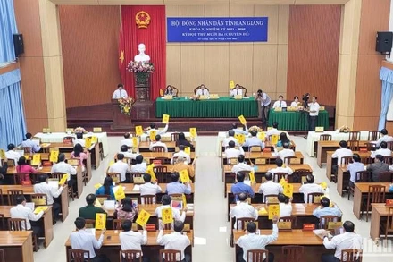 Các đại biểu biểu quyết thông qua các nghị quyết.