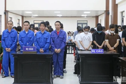 Các bị cáo trong đường dây làm chứng chỉ giả ngoại ngữ.