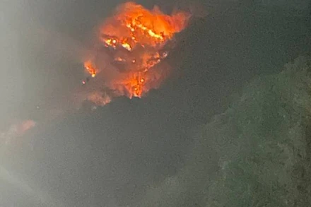 Cháy rừng trên núi Tô.