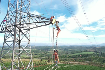 Kiểm tra U Bolt tại vị trí 511 đường dây 500kV Pleiku 2-Chơn Thành. (Ảnh: PTC3)
