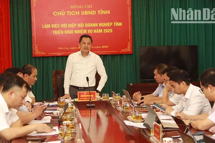 Đồng chí Nguyễn Đình Việt, Phó Bí thư Tỉnh ủy, Chủ tịch Ủy ban nhân dân tỉnh Sơn La phát biểu tại cuộc làm việc.