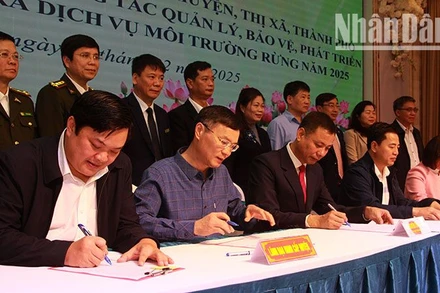 Ký cam kết giữa Chủ tịch Ủy ban nhân dân tỉnh với Chủ tịch Ủy ban nhân dân các huyện, thành phố, thị xã về công tác bảo vệ rừng 2025.