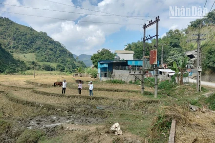 Vị trí xây dựng Cửa hàng xăng dầu có hành lang lưới điện chạy bên trên.