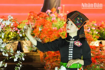 [Ảnh] Sôi động Lễ hội hoa ban thành phố Sơn La