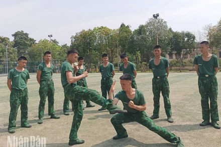 Các tiểu đội thi biểu diễn võ thuật.