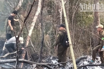 Đến khoảng 6 giờ sáng 28/3, cháy rừng tại xã Chiềng Pằn, huyện Yên Châu đã được khống chế. (Ảnh: DƯƠNG HẢI)