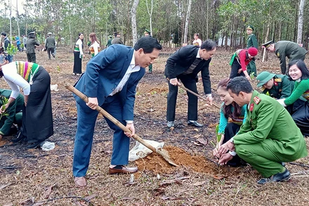 Các lực lượng ở vùng thượng du Thanh Hóa trồng cây đầu Xuân Ất Tỵ.