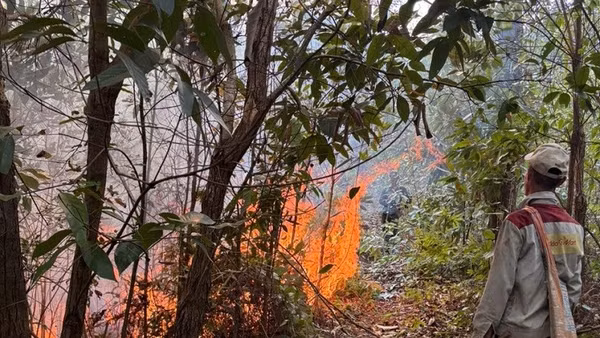 Hiện trường vụ cháy tại Na Sang (xảy ra 3/4) đã được nhân dân địa phương và lực lượng chức năng kịp thời dập tắt. 