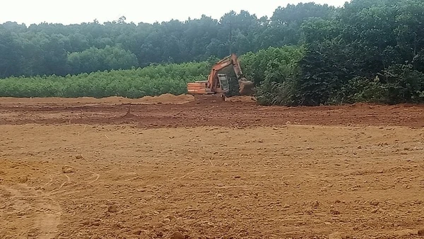 Diện tích bị bùn đất vùi lấp do sự cố đã cơ bản được cải tạo, làm đất tơi xốp, bằng phẳng để người dân tái sản xuất.