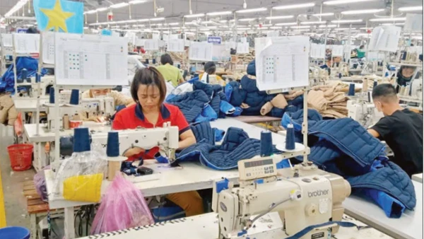 Hoạt động sản xuất tại Công ty cổ phần Đầu tư và thương mại TNG.