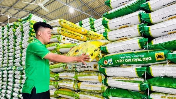 Bộ sản phẩm chủ lực cho chiến lược “Xanh hóa từ nhà máy đến ruộng vườn ” của Công ty cổ phần Phân bón Bình Điền: Đầu Trâu Bio-Canxi, Đầu Trâu Bio Lúa 1 và Đầu Trâu Bio Lúa 2.