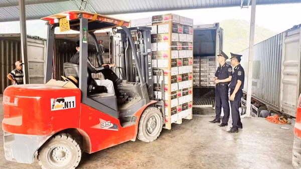 Cán bộ Hải quan khu vực VI trực tiếp kiểm tra hàng hóa tại kho.