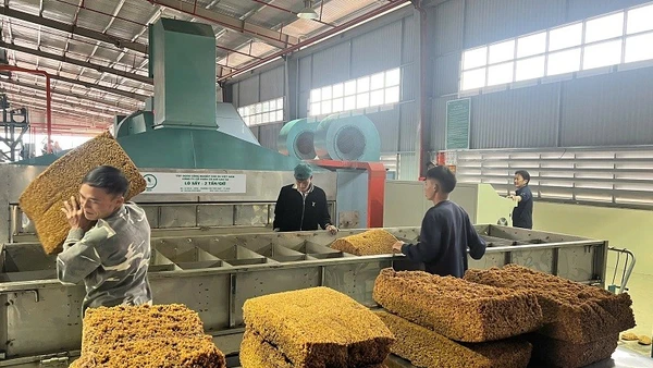 Lô sản phẩm cao-su đầu tiên mang thương hiệu SVR10 và SVR20 được sản xuất tại Nhà máy chế biến mủ cao-su Điện Biên.