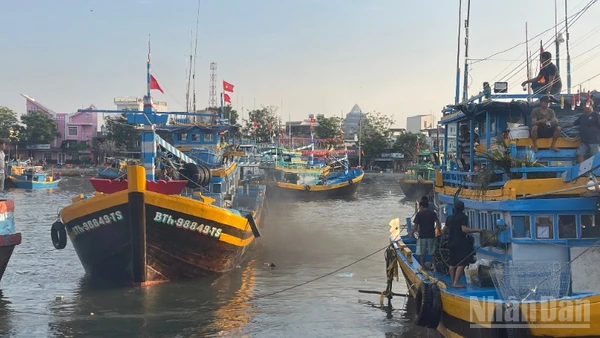 Đến năm 2030, tỉnh sẽ còn khoảng 7.200 tàu cá.