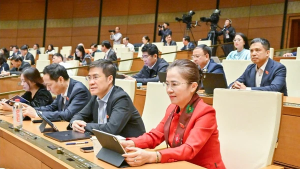 Đại biểu Quốc hội làm việc tại hội trường. (Ảnh: DUY LINH)