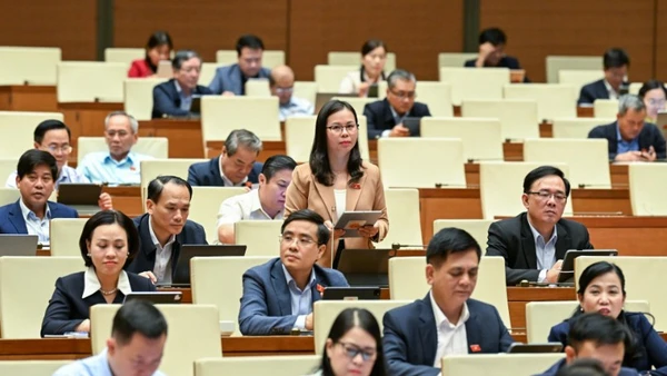 Đại biểu Chu Thị Hồng Thái (Đoàn Lạng Sơn). (Ảnh: DUY LINH)