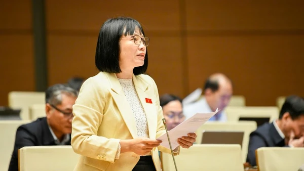 Đại biểu Nguyễn Thị Việt Nga, Phó trưởng Đoàn chuyên trách Đoàn đại biểu Quốc hội thành phố Hải Phòng. (Ảnh: DUY LINH)