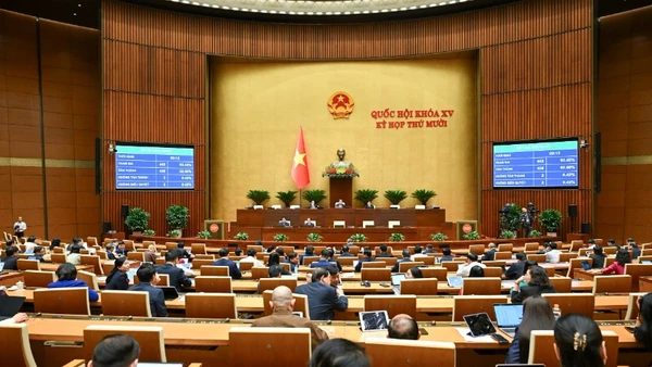 Quốc hội thông qua Luật Giám định tư pháp (sửa đổi) với đa số đại biểu tán thành (92,81%). (Ảnh: DUY LINH)