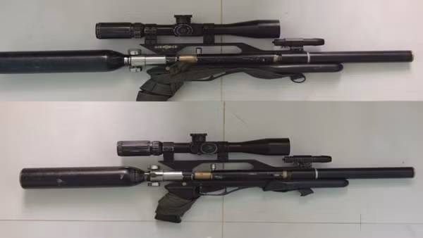 Hai khẩu súng được tịch thu.